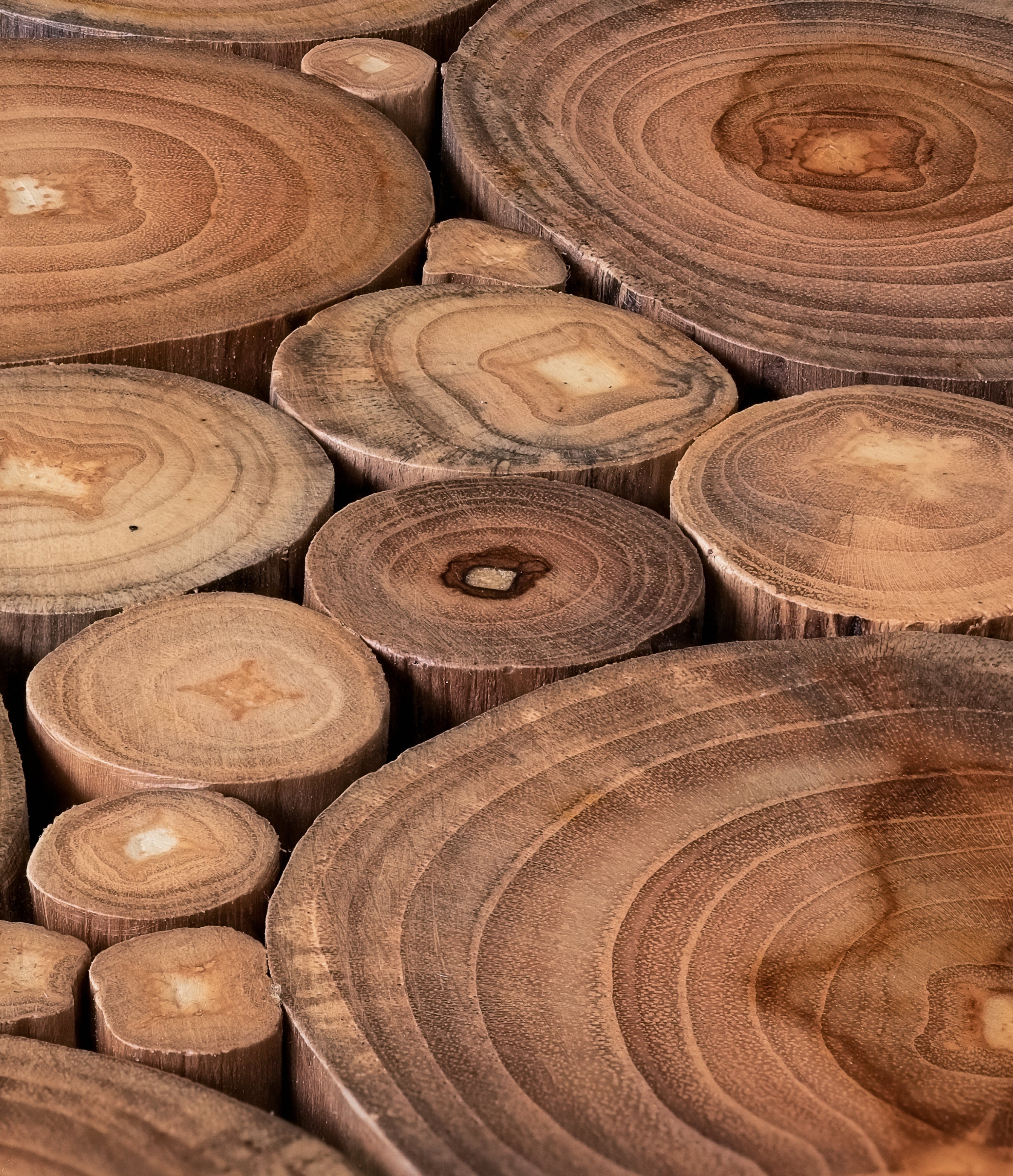 Teak