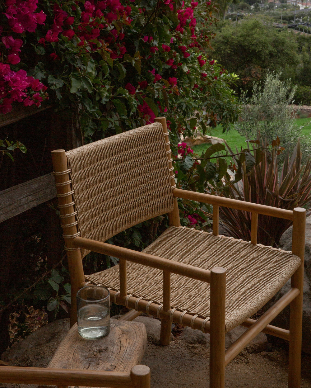 Ema Dining Chair with Arm