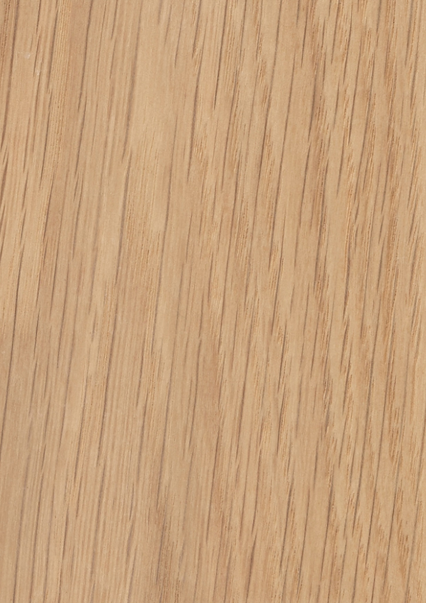 Close-up of a light oak surface with a light tan color and visible grain pattern.