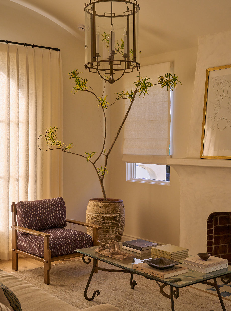 Living room with a leela lounge chair, coffee table, and decorative plant.